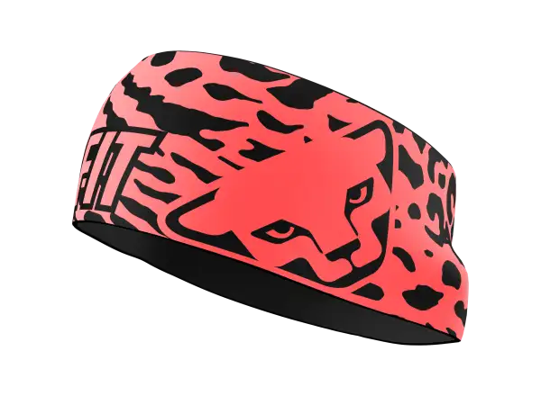Dynafit Graphic Performance Stirnband Golden Lime/Gradient