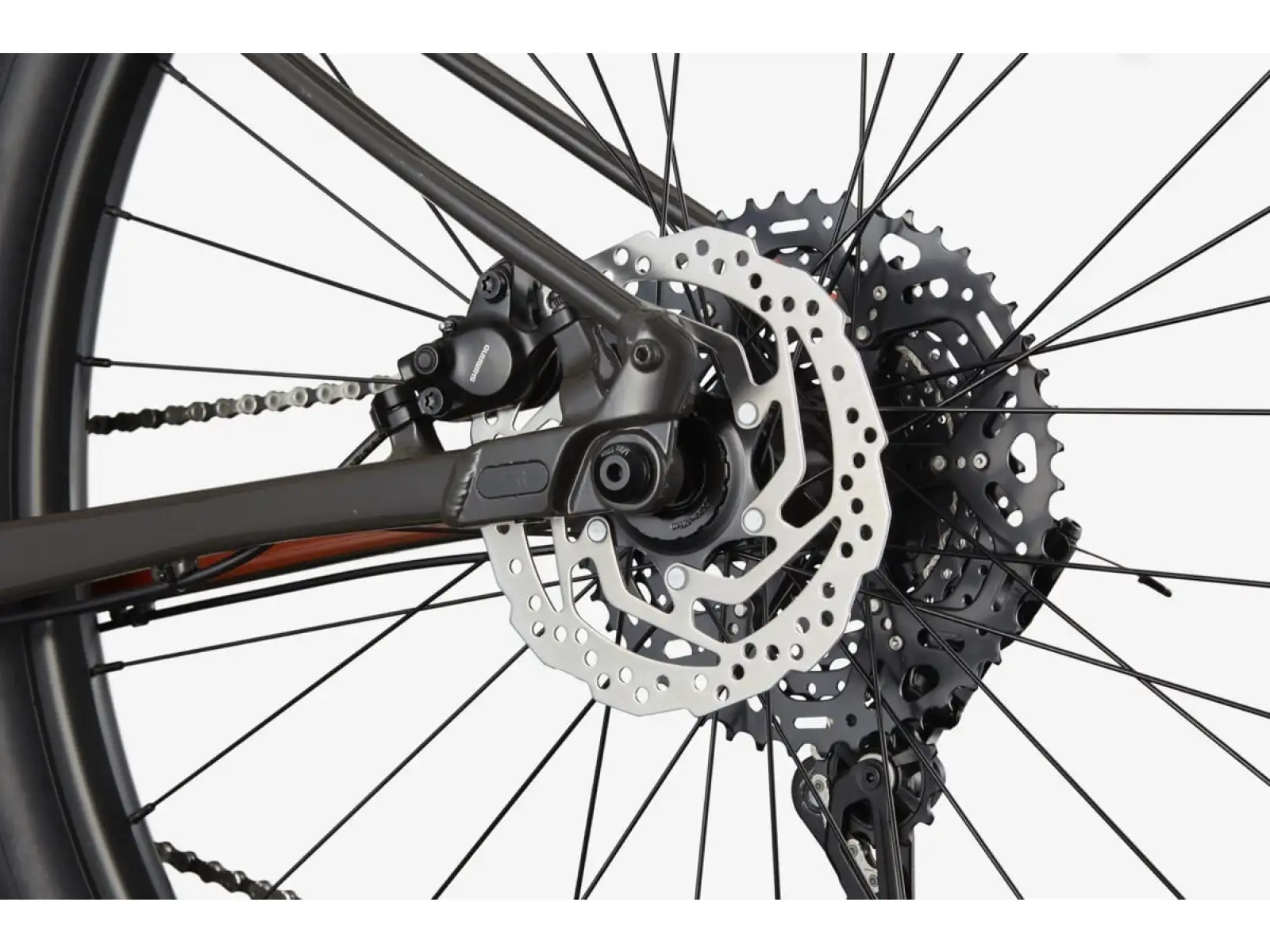 Cannondale Trail SL 4 29" ORG Mountainbike