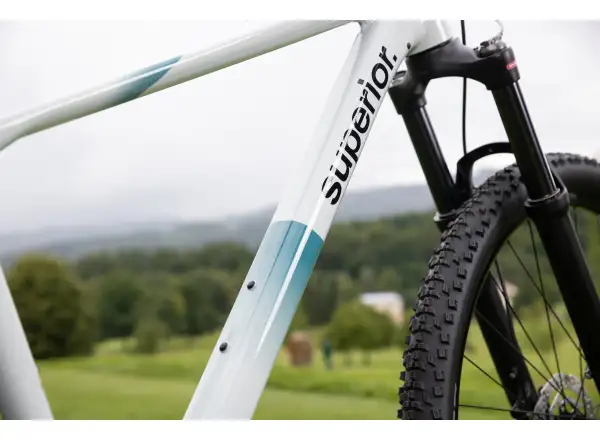 Superior XC 6.2 Mountainbike Gloss Grey/Petrol