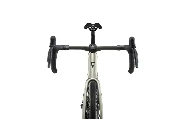 Giant Defy Advanced SL 1 Rennrad Golden Haze / Panther