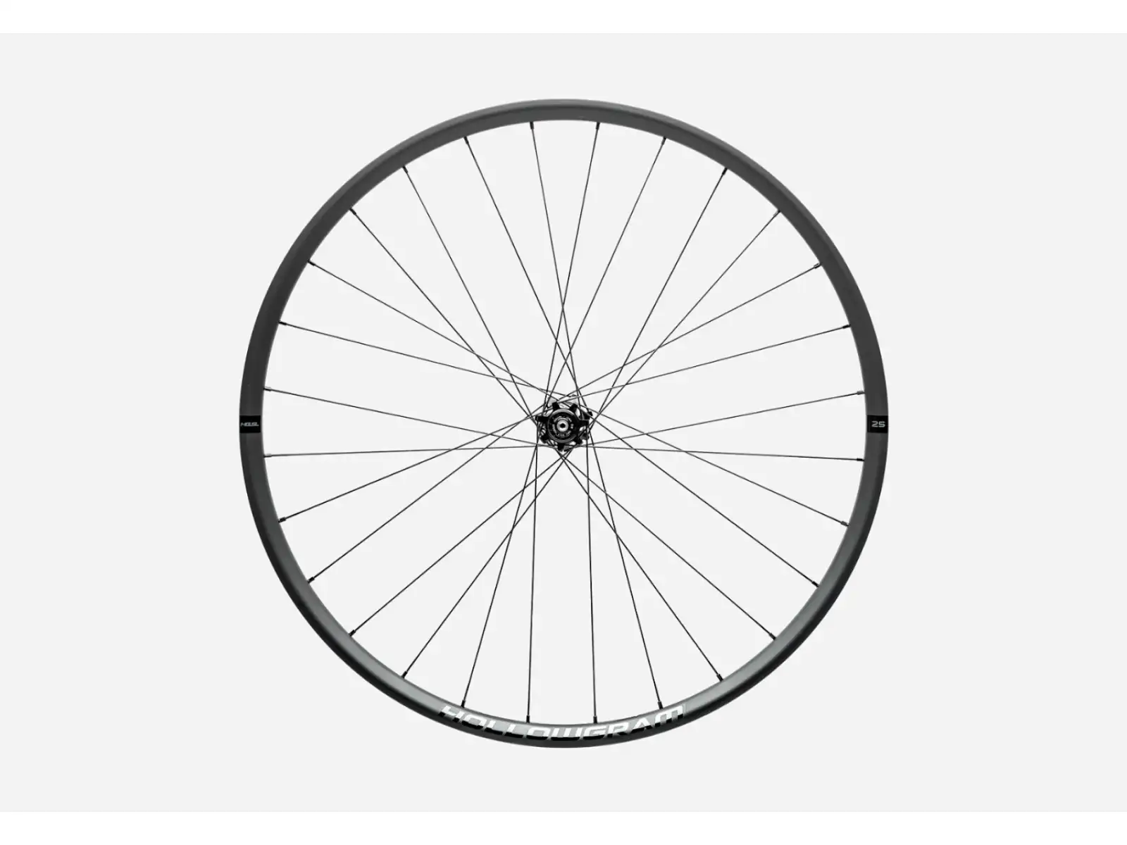 Cannondale HollowGram 25 29" Vorderrad.
