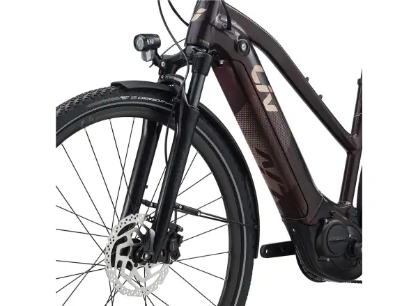 Liv Amiti E+2 Trekking E-Bike in Rosewood Color