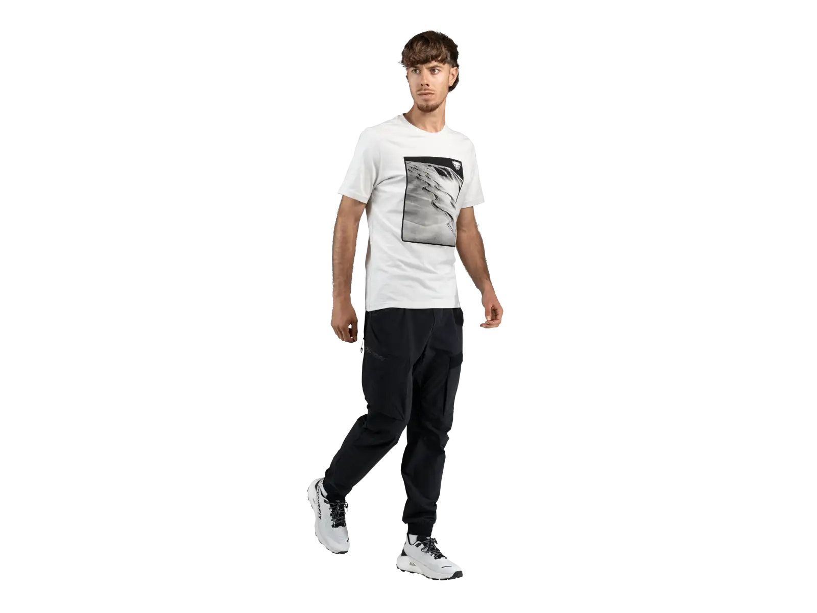 Dynafit Graphic Cotton Herren T-Shirt Kurzarm Nimbus/First Track