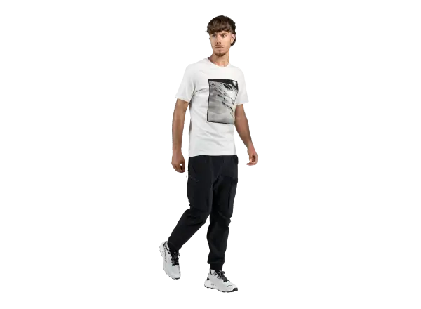 Dynafit Graphic Cotton Herren T-Shirt Kurzarm Nimbus/First Track