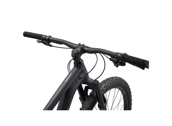 Liv Embolden 29 1 Mountainbike Mattschwarz