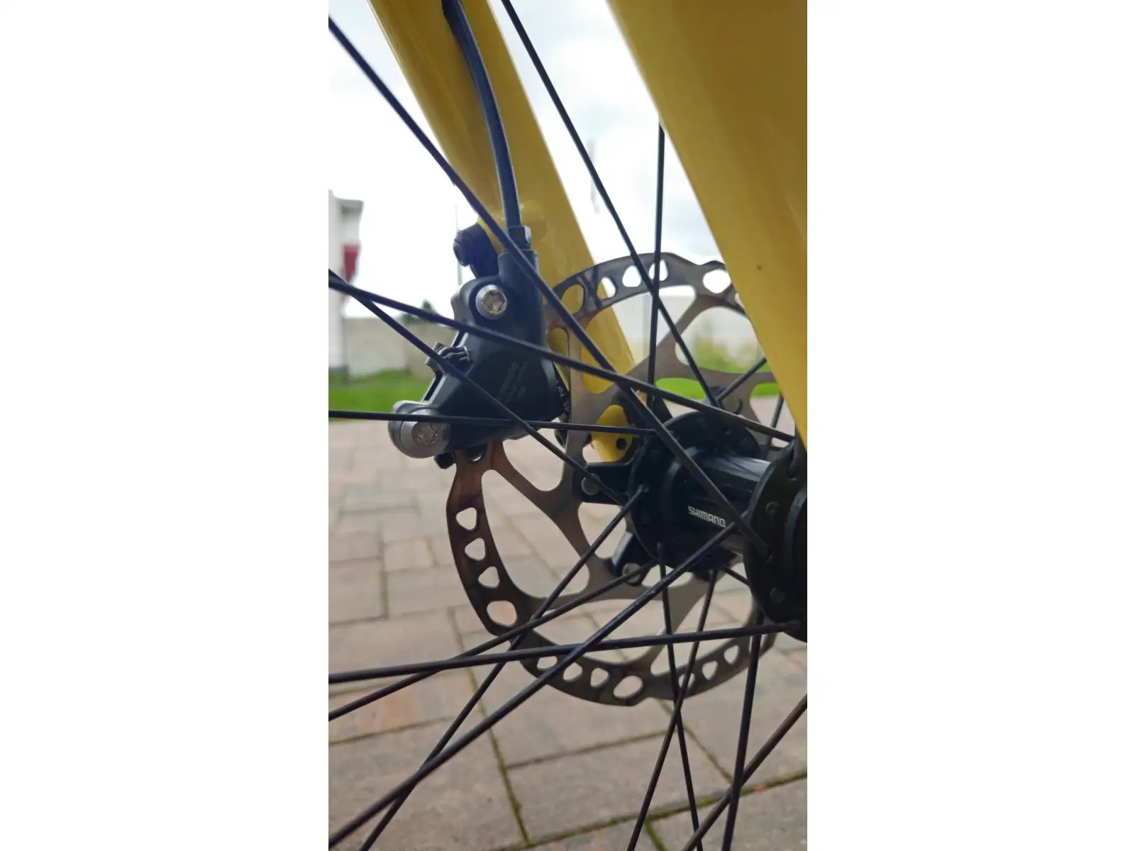 Cannondale Topstone Carbon 3 Gravel Fahrrad Butter Geprüft