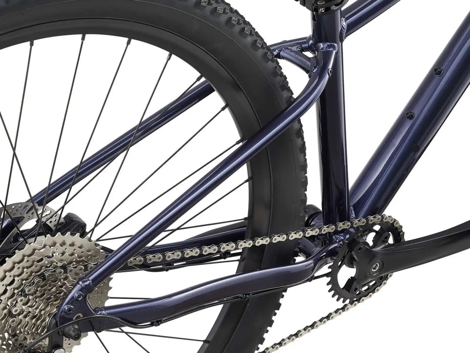Liv Tempt 29 1 GE Mountainbike Milchstraße