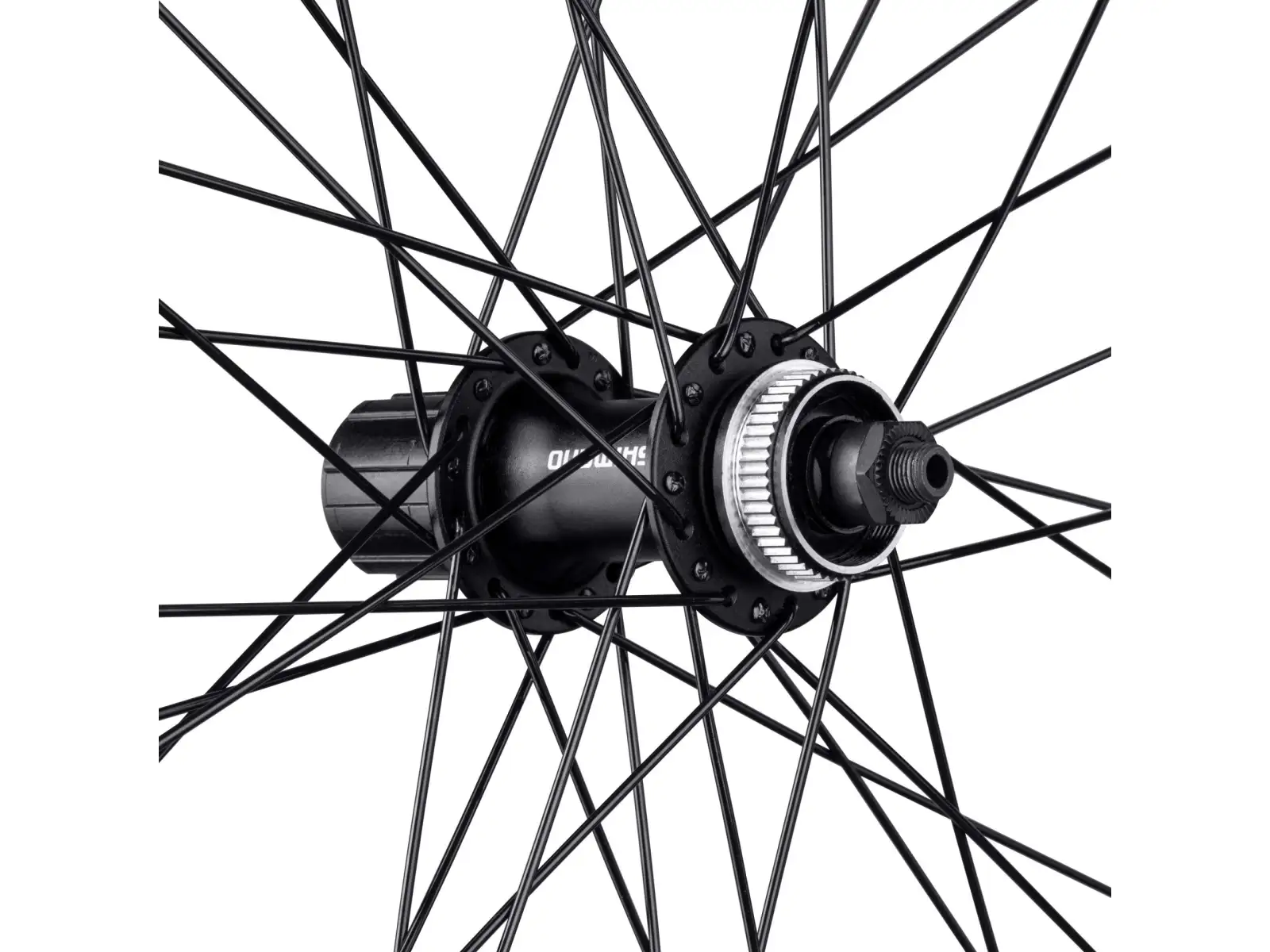 Force XC Disc 29 CL Hinterrad Shimano Nabe