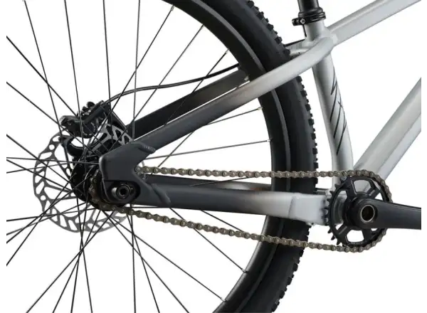 Liv STP 26 Dirt-Bike One Size Brush Aluminum