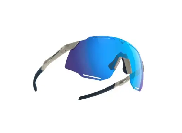 Dynafit Alpine Evo Brille Rock Khaki/Blueberry