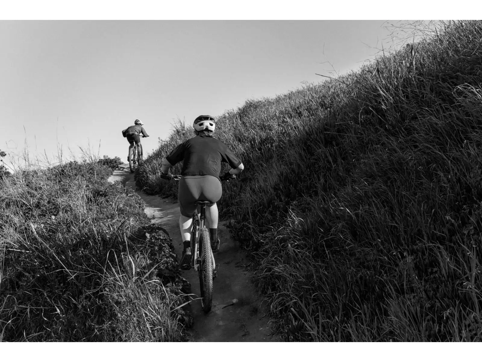 Cannondale Tract Helm Fire Hydrant Rot