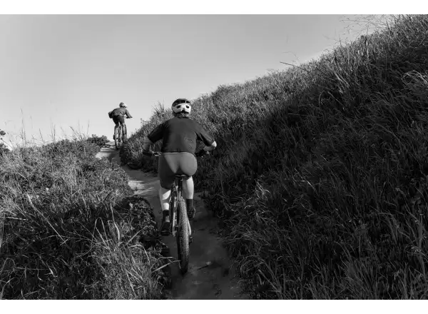 Cannondale Tract Helm Fire Hydrant Rot