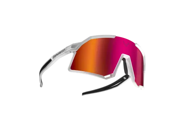 Dynafit Trail Evo Brille Weiß/Schwarz