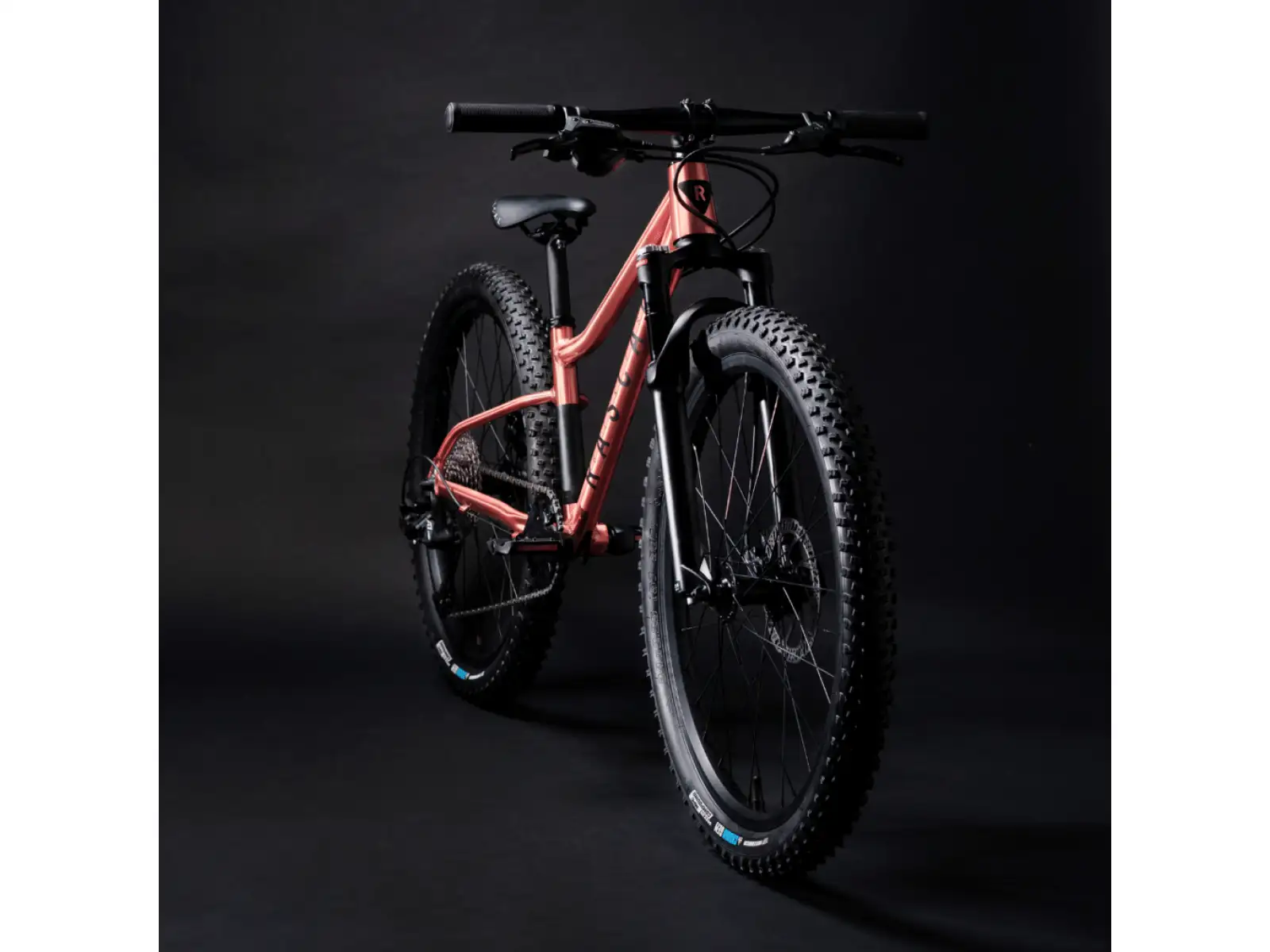 Rascal Wild 24 Kinderfahrrad Bronze