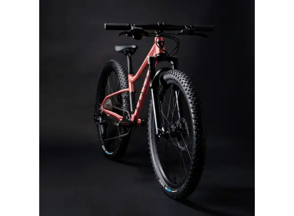 Rascal Wild 24 Kinderfahrrad Bronze