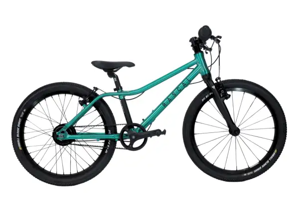 Rascal 20 Limited Kinderfahrrad Emerald
