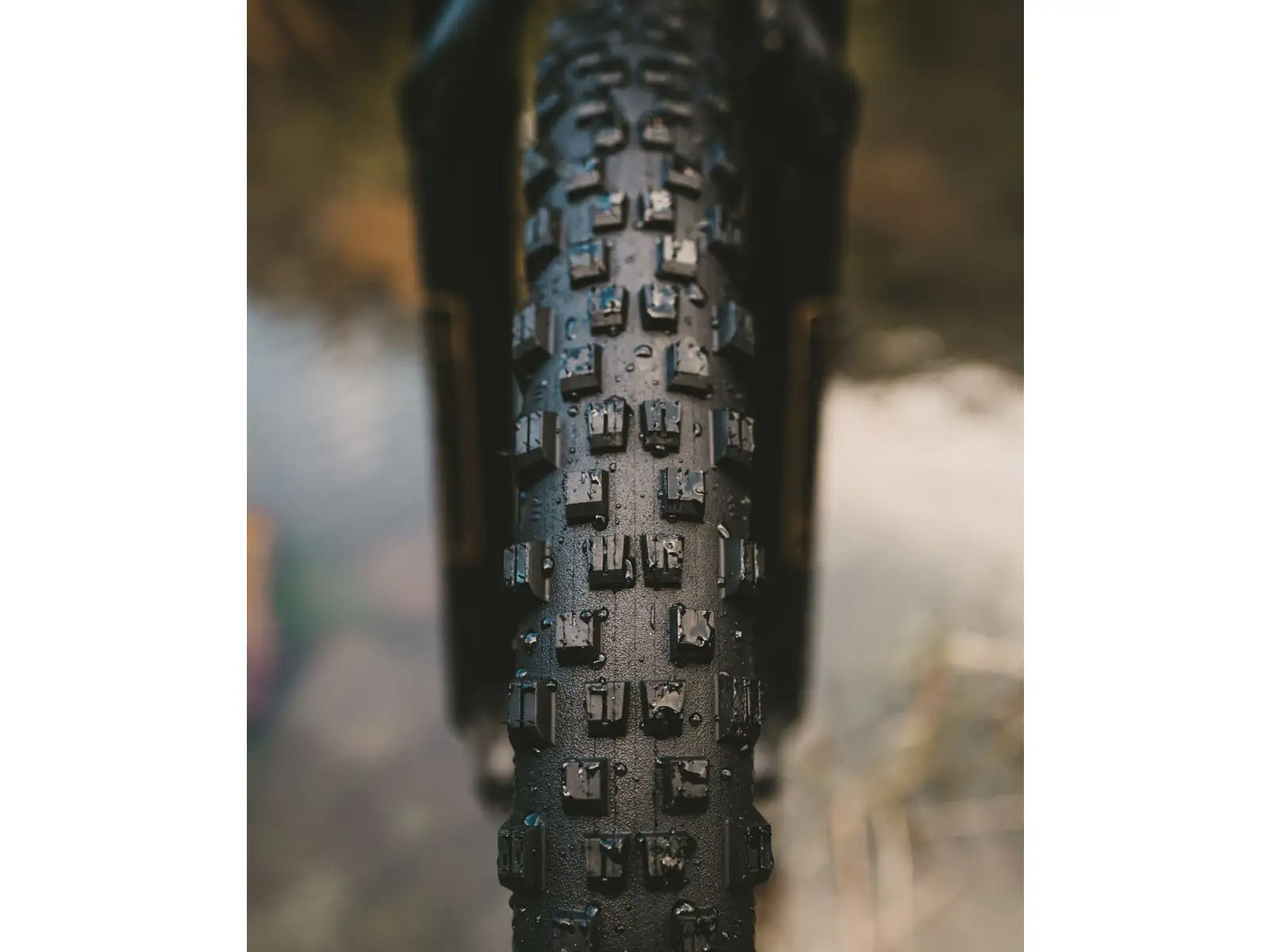 Goodyear Newton MTF Enduro Tubeless Complete 29x2,50" MTB Reifen Kevlar