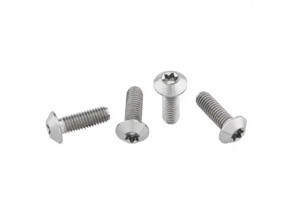 Wolf Tooth Flaschenhalterschrauben Titan 4 Stk