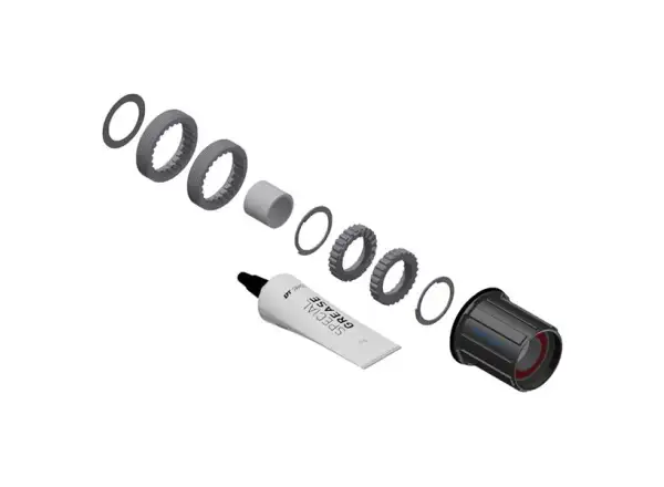 DT Swiss Kit Ratchet LN Shimano HG MTB Stahl - Umbausatz für Naben von 3pawls auf Ratchet LN