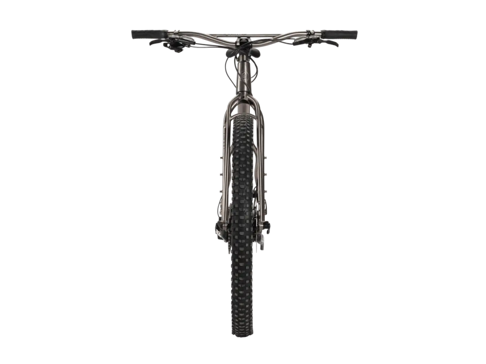 Why Cycles Wayward GX Eagle Titan Mountainbike