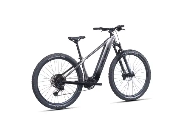Crussis ONE-Fionna AX 9.12-M2S(600) Mountain-E-Bike