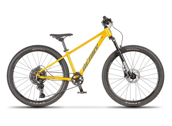 Beany Blaster 26 Kinderfahrrad Gold