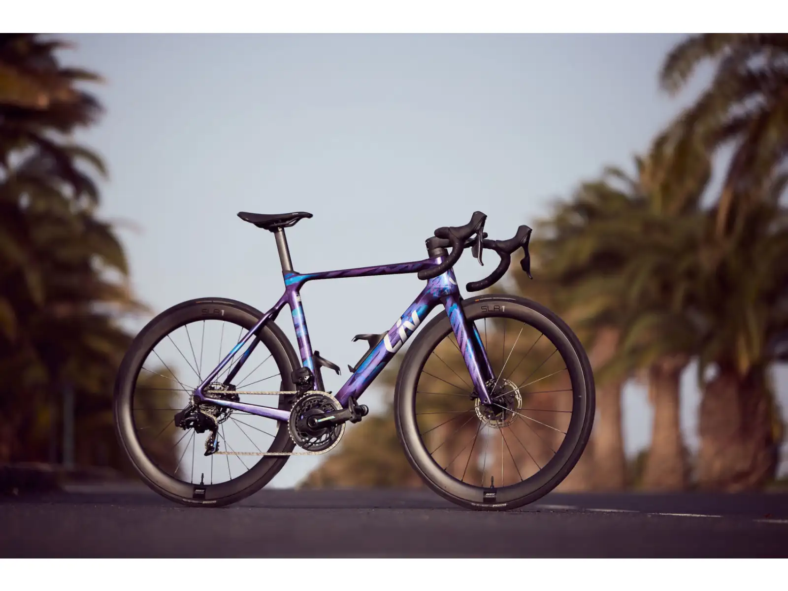 Liv EnviLiv Advanced Pro Damen Rennrad Carbon
