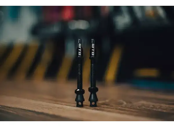 WTB TCS Max-Flow Tubeless Ventile 44 mm schwarz 2 Stück