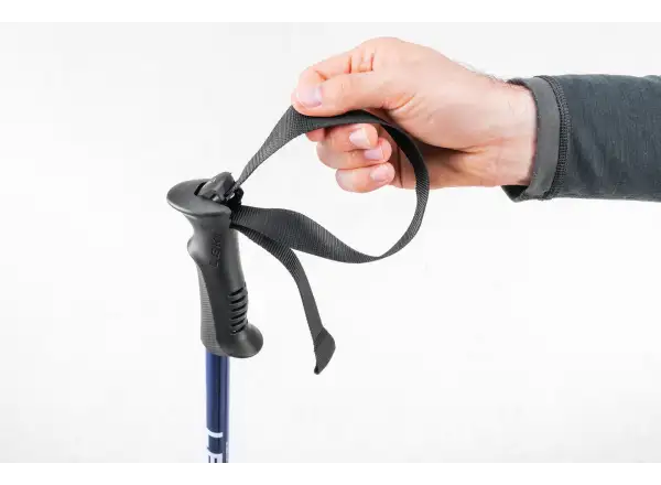 Leki Eagle Trekkingstöcke Midnight blue/Dark metallic Gr. 110 - 145cm