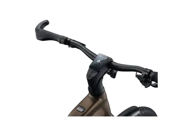 Giant Explore E+ 3 DD Trekking-E-Bike Pyrite Brown