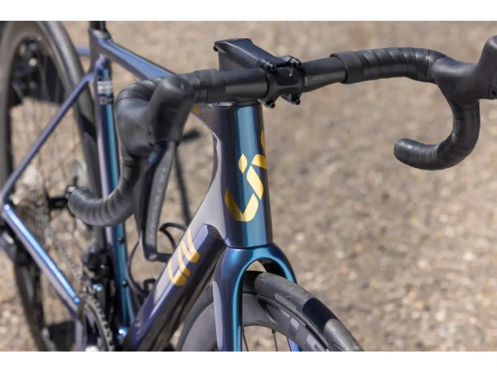Liv Langma Advanced Pro 0 PC Rennrad Ocean Twilight