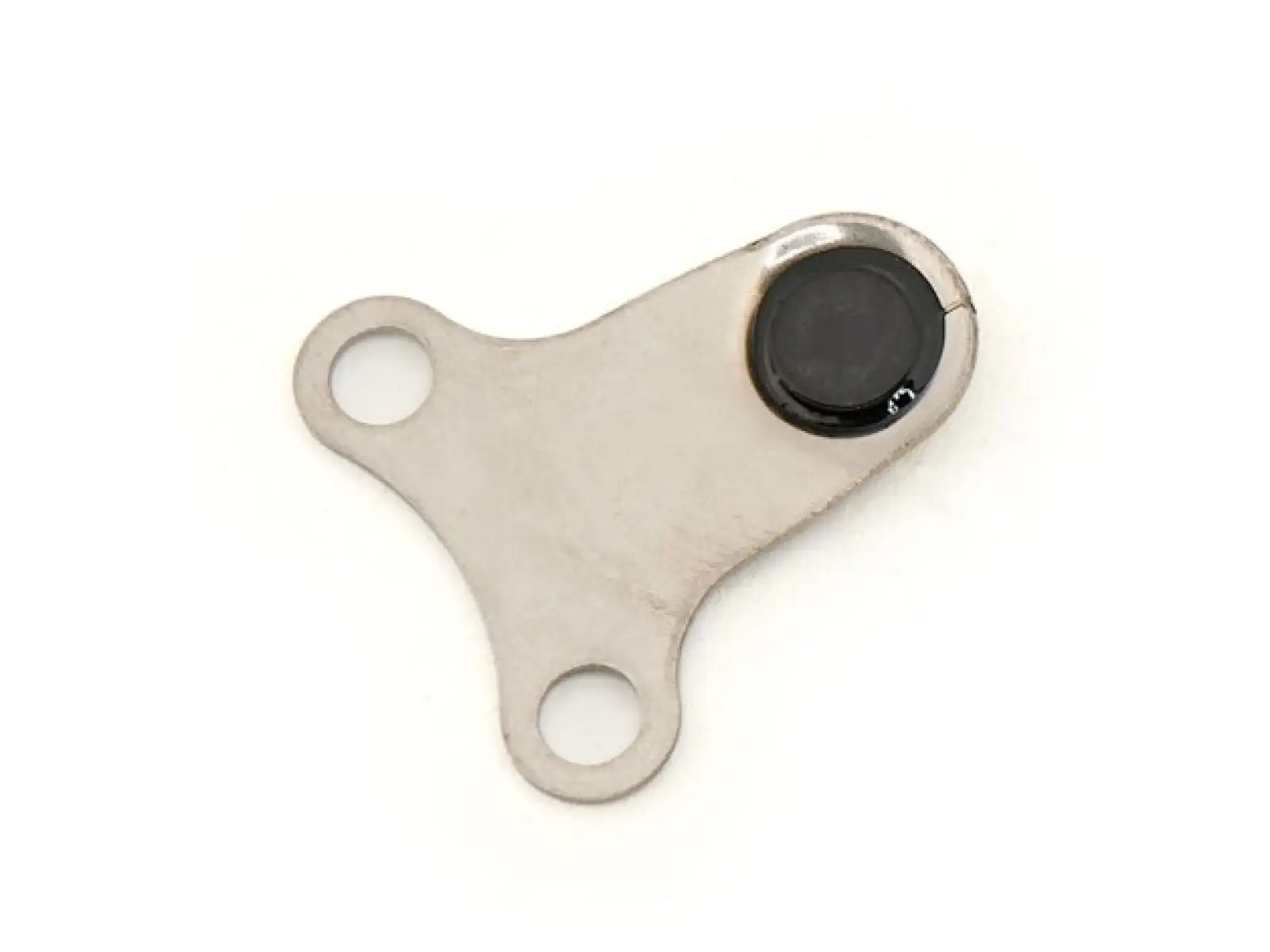 Focus Magnet für Bremsscheibe Thron2/Jam2