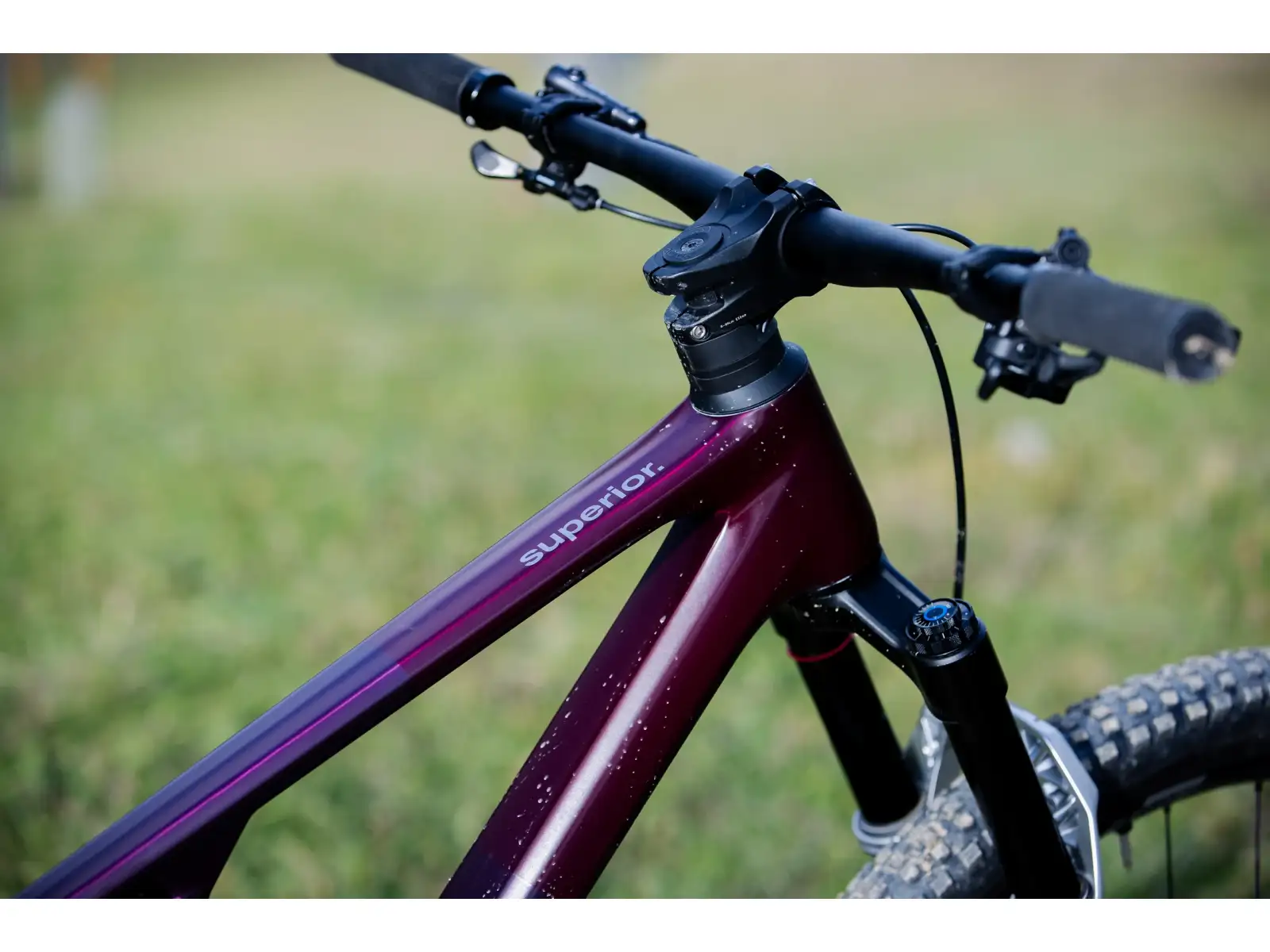 Superior XF 9.7 DC Mountainbike Matte Berry Carbon