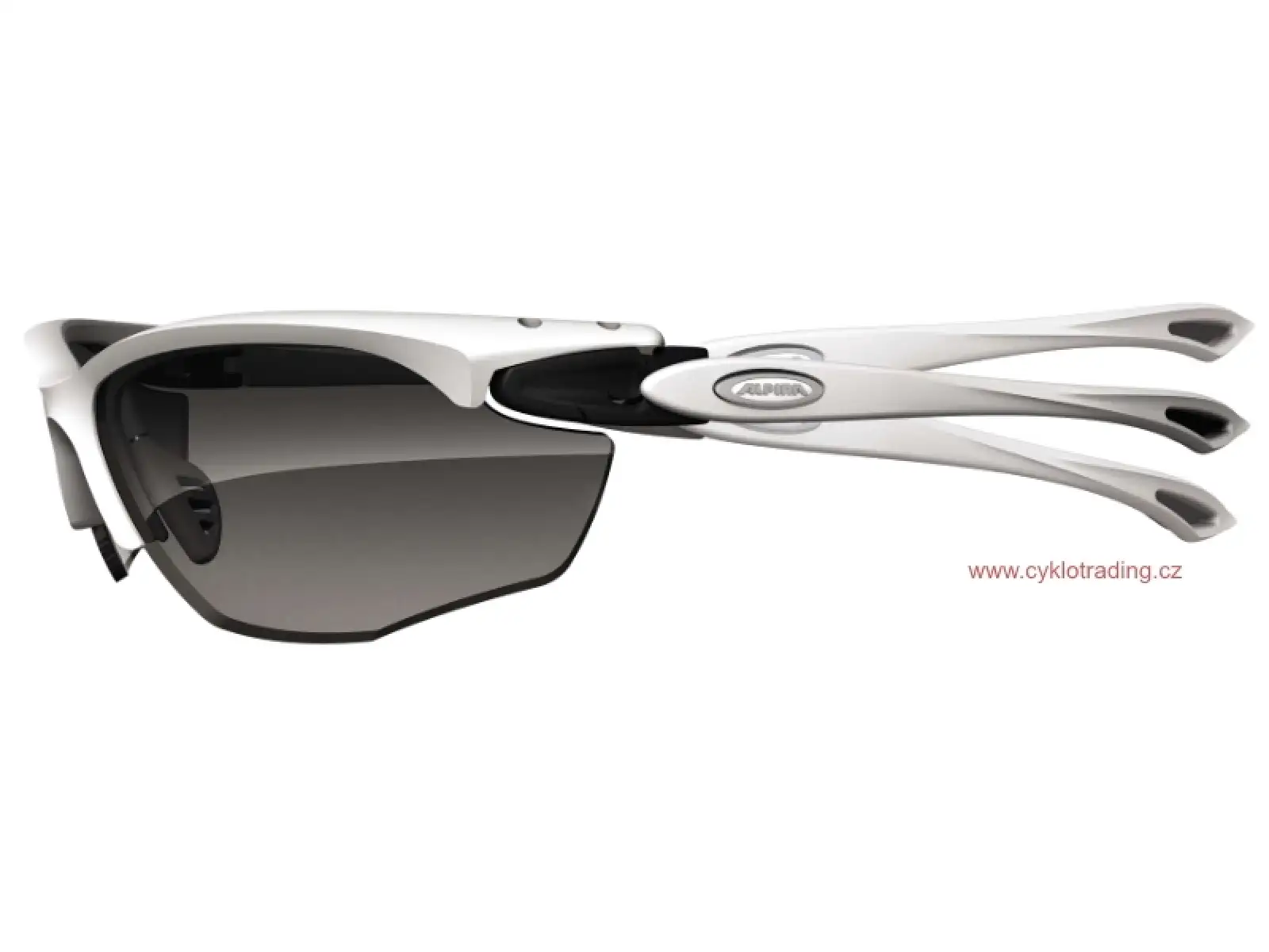 Alpina Twist Five HR VL+ Brille Black Matt