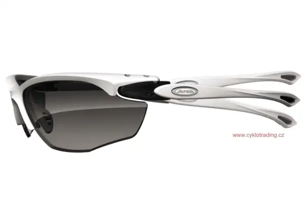 Alpina Twist Five HR VL+ Brille Black Matt