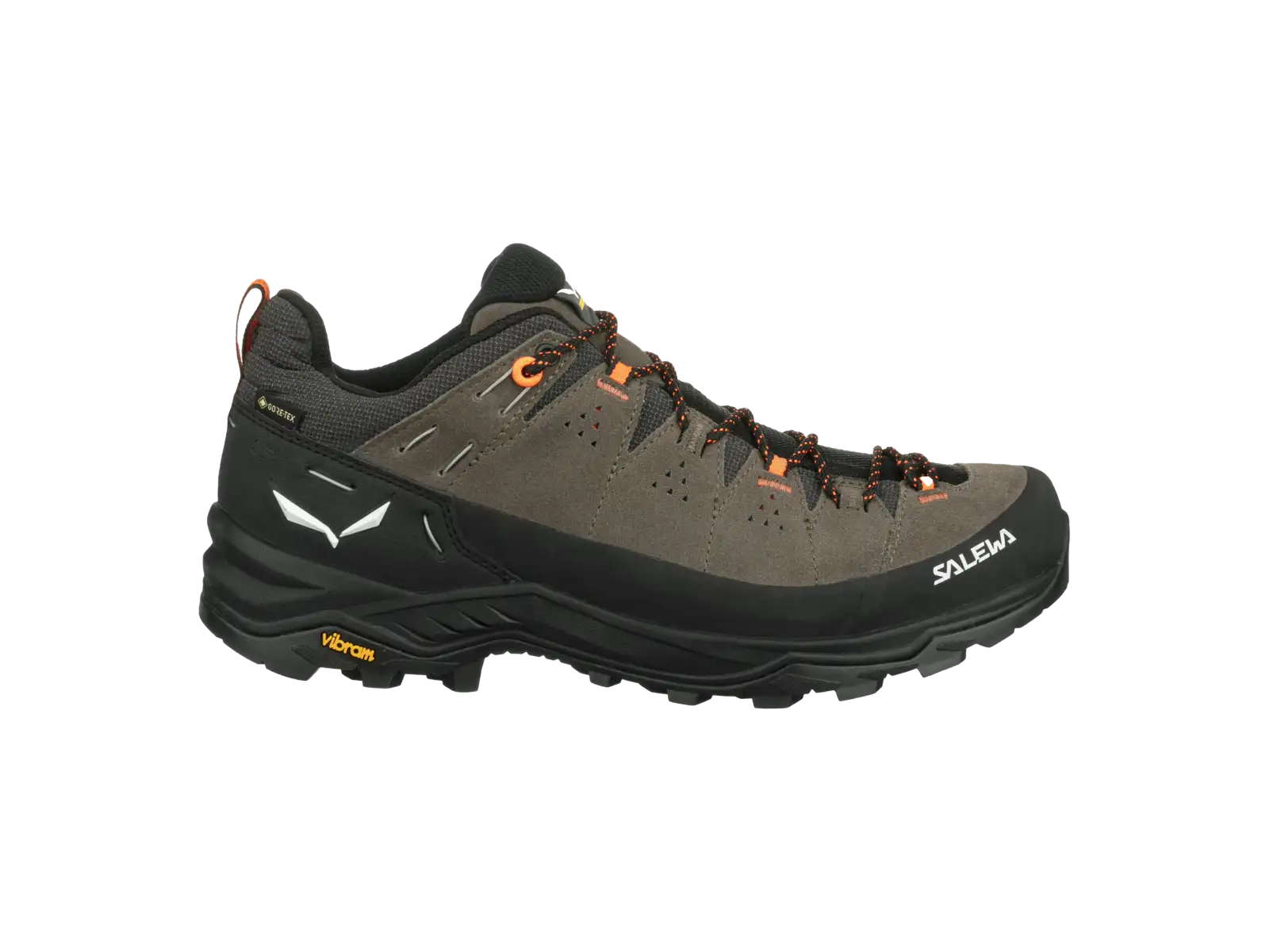 Salewa Alp Trainer 2 GTX Herrenschuhe Bungee Cord/Black