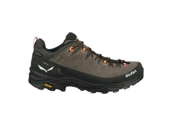 Salewa Alp Trainer 2 GTX Herrenschuhe Bungee Cord/Black