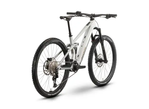 Raymon Airok E-Bike Silver Stealth/Taupe