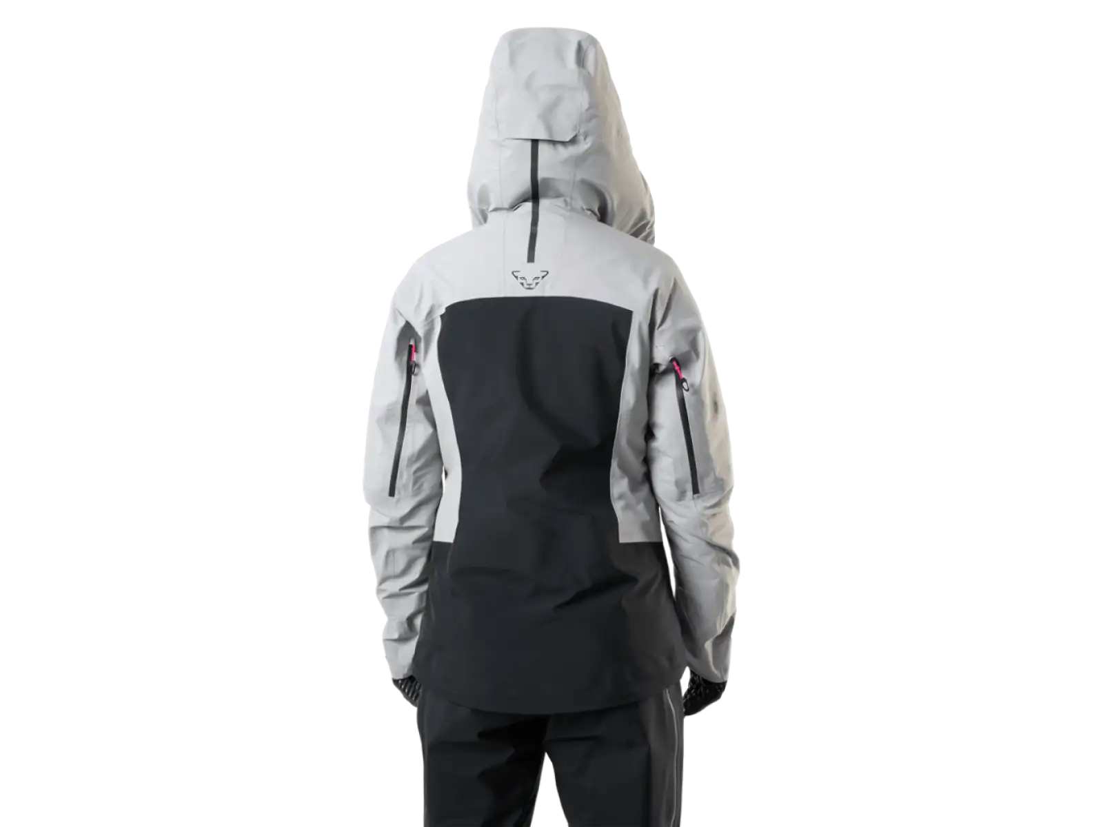 Dynafit Free GTX Damen Hardshelljacke Alloy