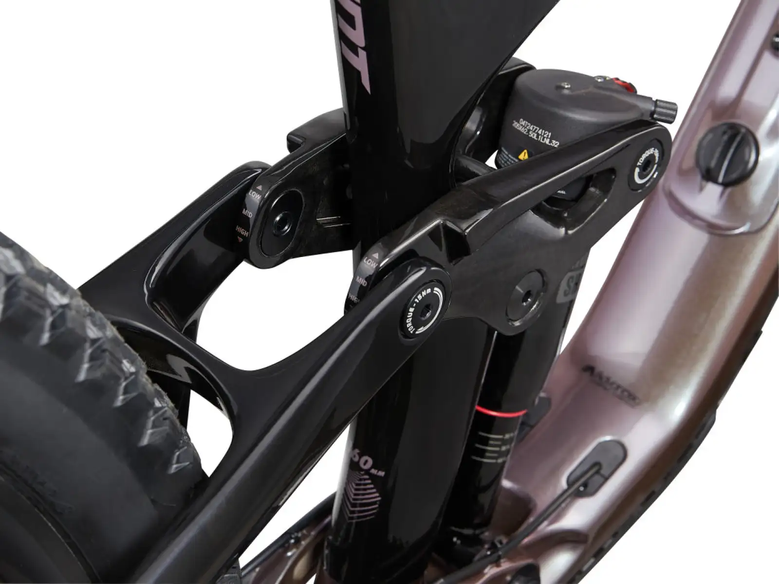Giant Reign Advanced Pro 2 Mountainbike Orion Nebula/Carbon