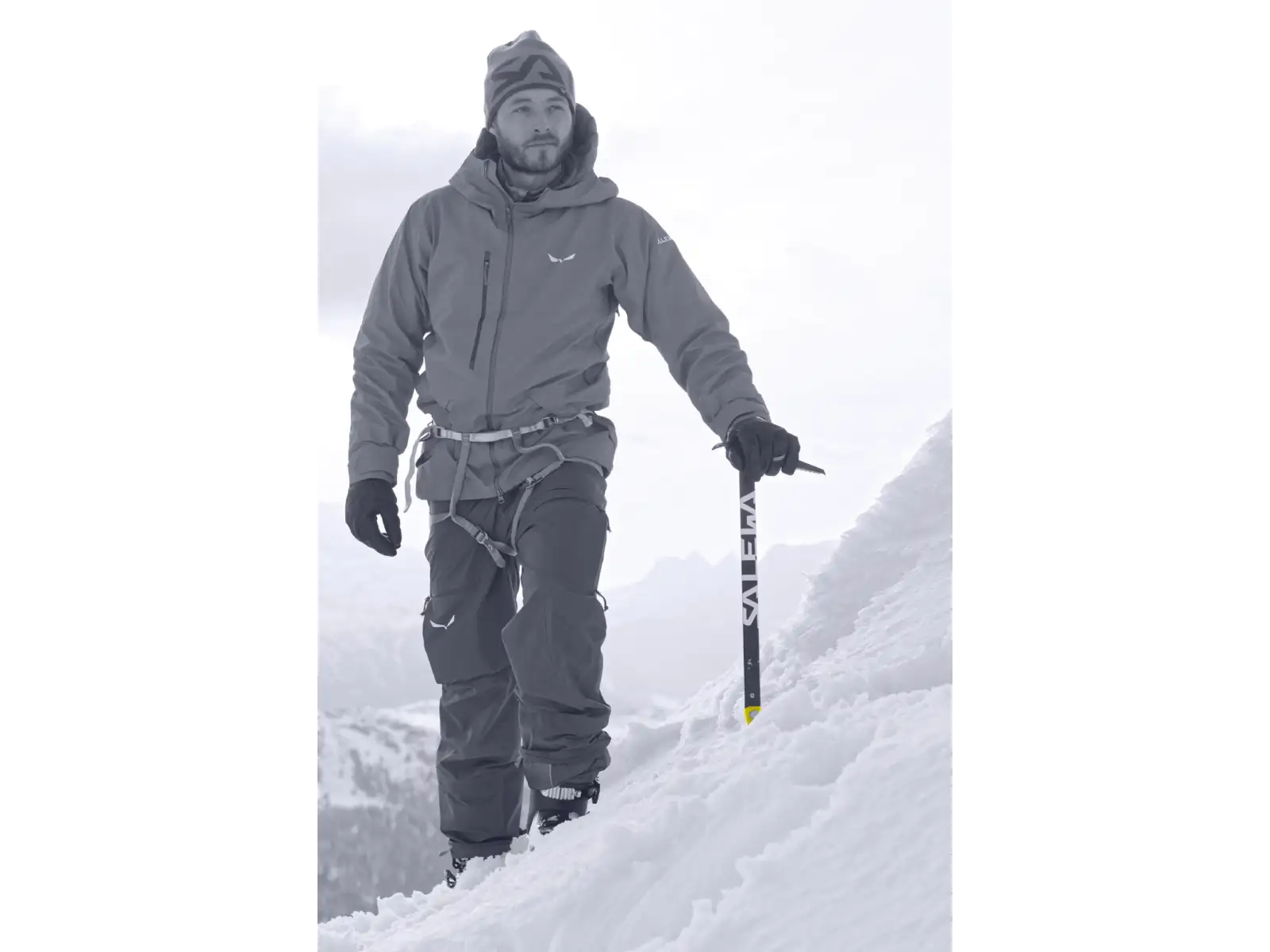 Salewa Alpine-X Eispickel 65 cm