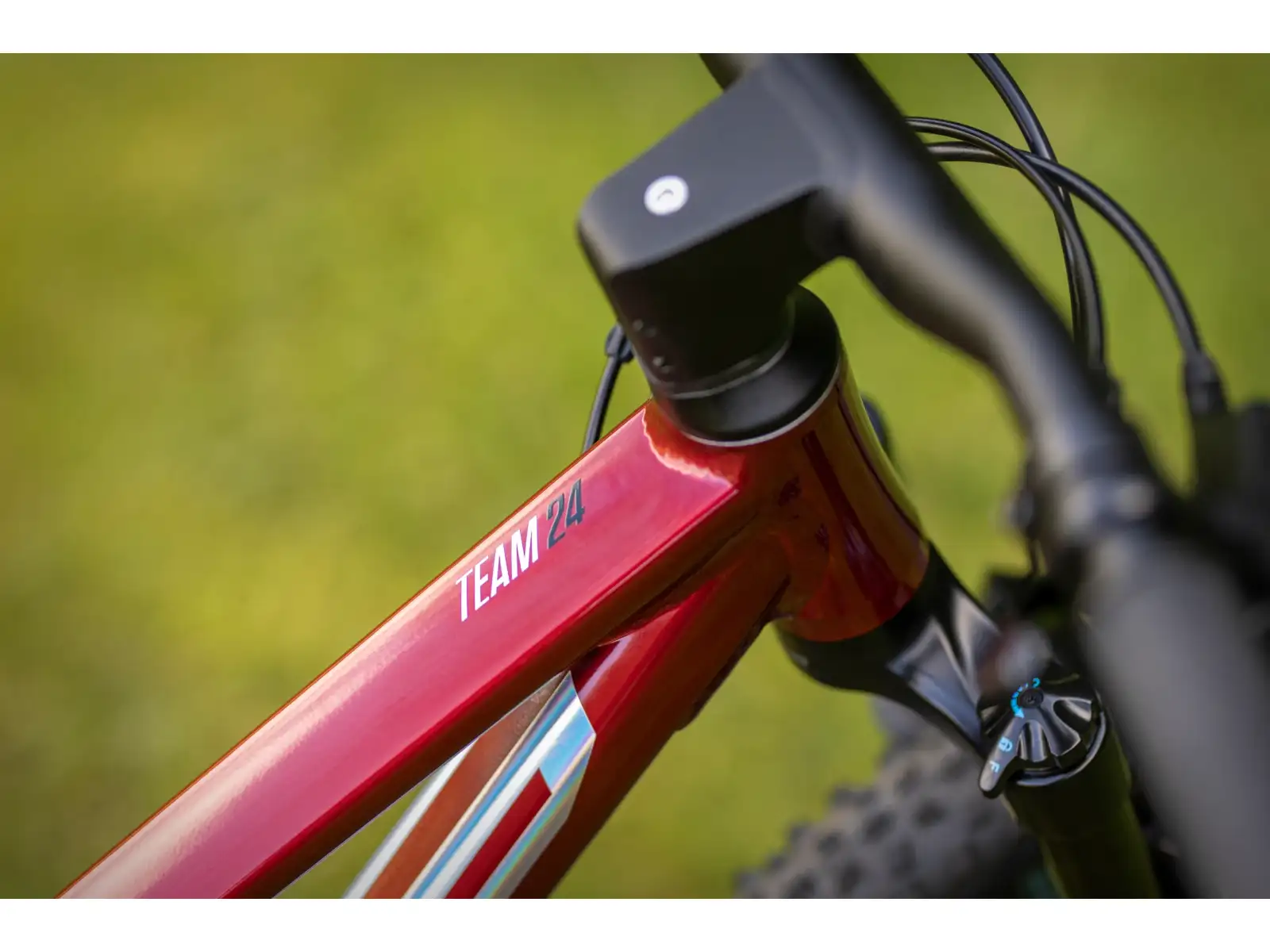 Superior Team 24 Kinder-Mountainbike Gloss Dark Red