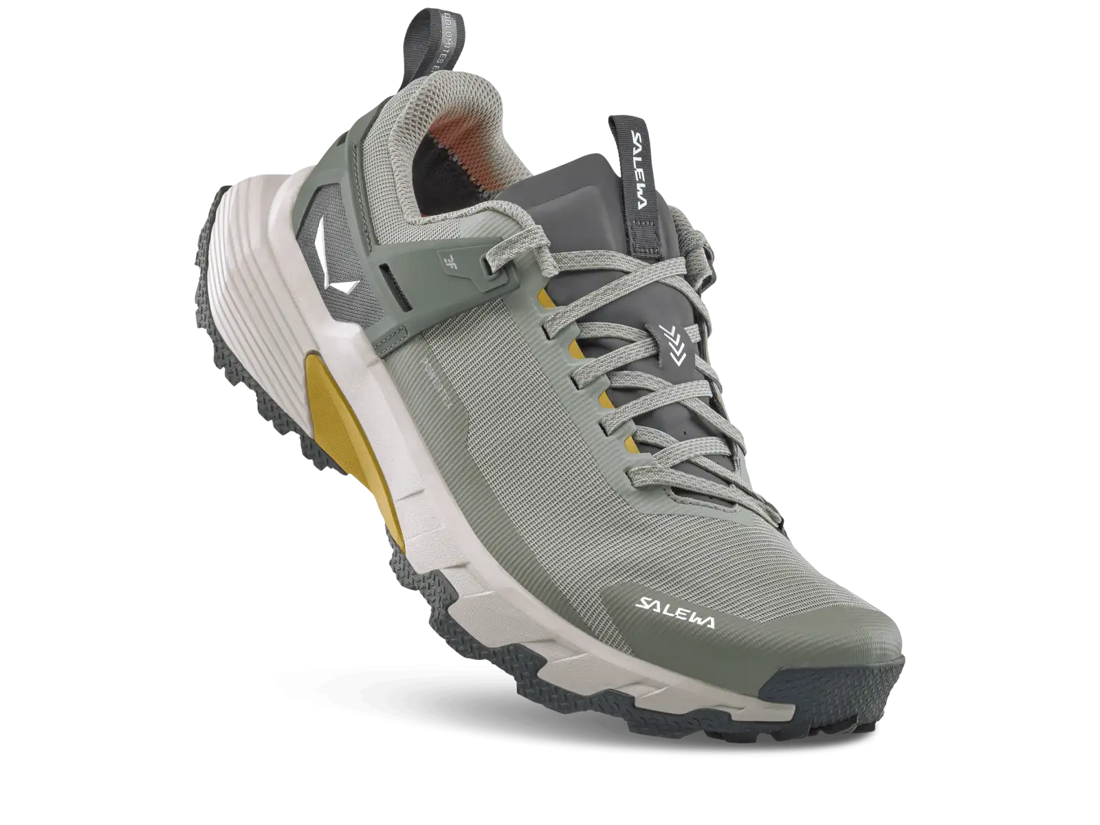 Salewa Pedroc 2 PTX Herren Wanderschuhe Shadow/Faded Green