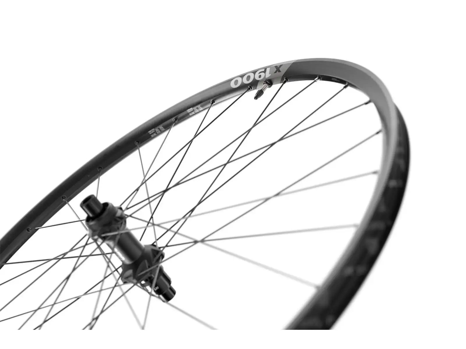 DT Swiss X 1900 Spline Boost 29" Laufräder Shimano