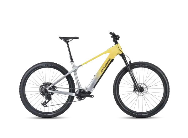 Crussis e-Largo AX 10.12-M2S(800) Mountain-E-Bike