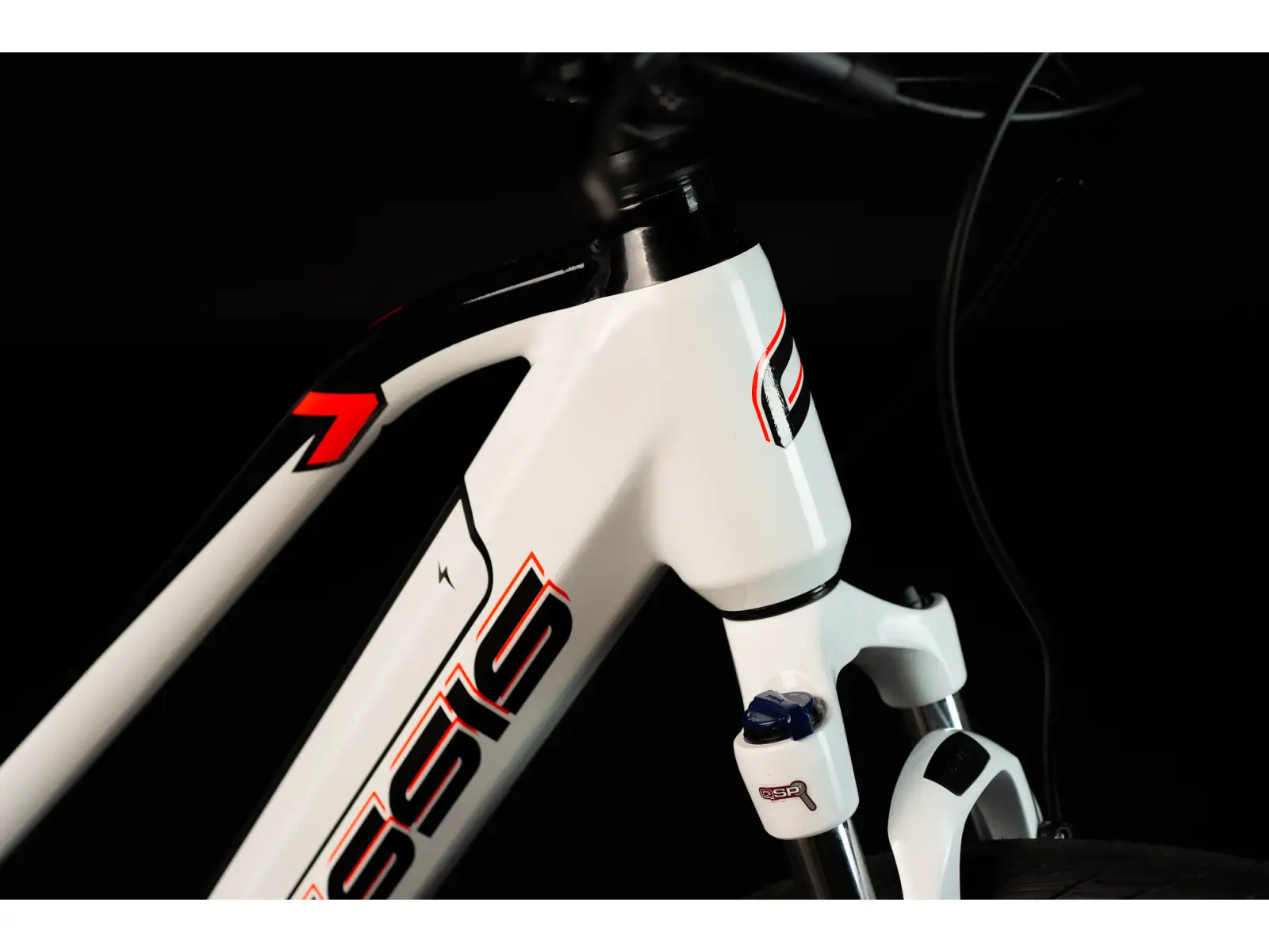 Crussis e-Cross low 7.8-M ist ein Elektro-Mountainbike.