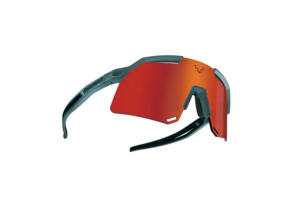 Dynafit Ultra Evo Brille Sturmblau/Heidelbeere