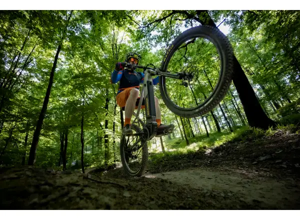 Ecobike Mauler 1080 Wh elektrisches Mountainbike