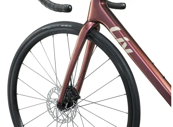 Liv Langma Advanced Pro 1 PC Straßenrad Mechanic Rose