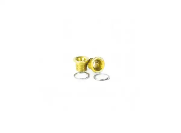 Leonardi Factory Bolt Capo gold crank bolts